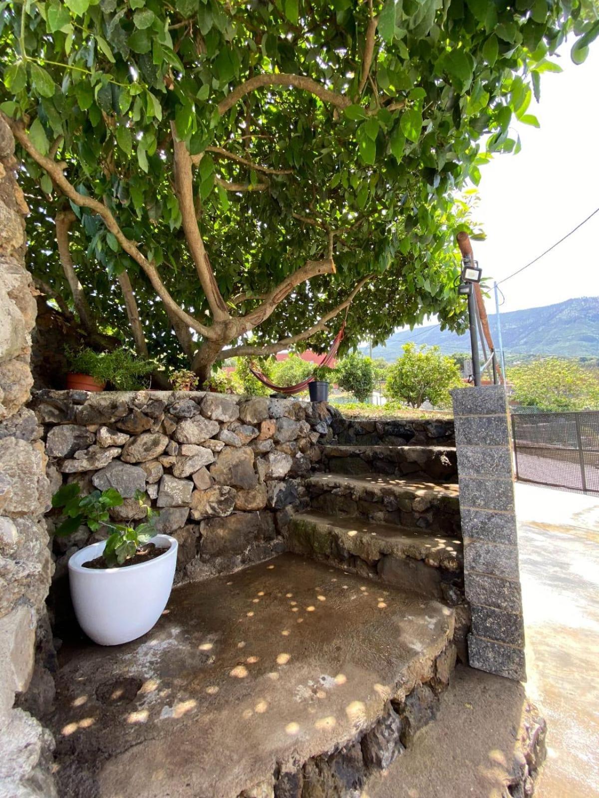 Villa Perejil Realejo Alto Dış mekan fotoğraf